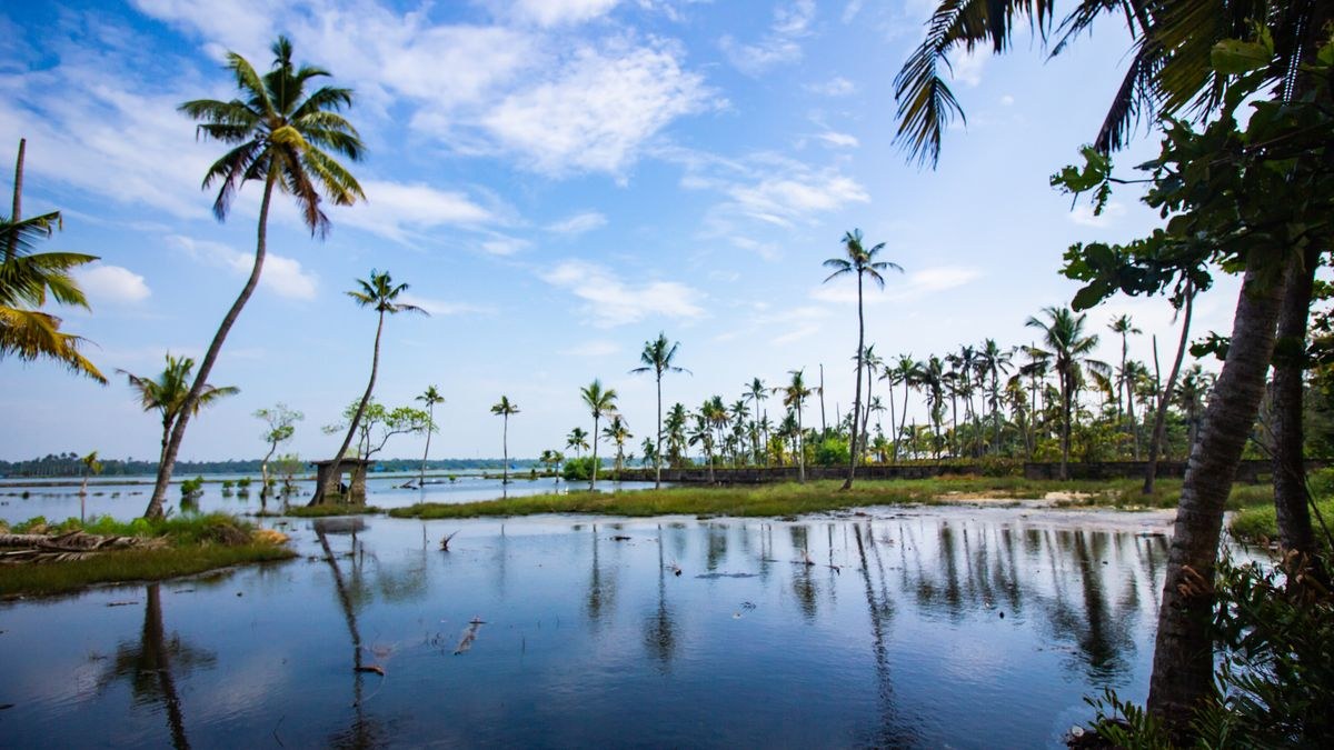 Exotic Kerala